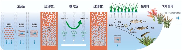 养殖尾水处理原理示意.jpg 