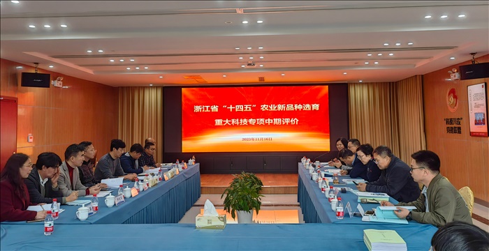会议全景.jpg 